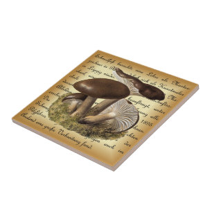 Azulejo Albin Schmalfuß ~ Märzschneckling-1 ~ champiñones