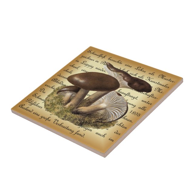 Azulejo Albin Schmalfuß ~ Märzschneckling-1 ~ champiñones  (Lado)