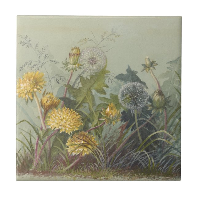Azulejo Álbum de Acuarelas de Deborah Griscom Passmore Pl. (Frente)