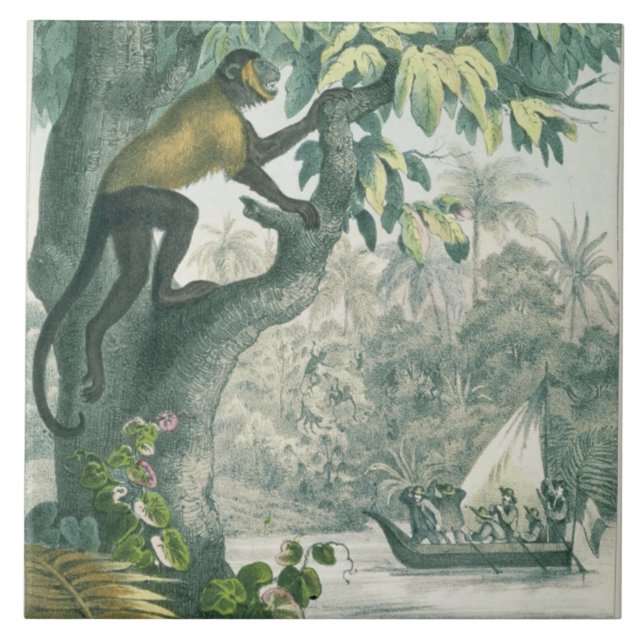 Azulejo Alcances superiores del Amazonas, del 'der del Das (Frente)