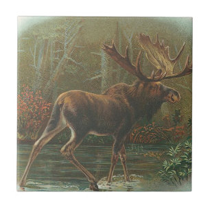 Azulejo Alces
