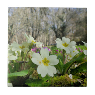 Azulejo Aleta Cerámica Primrose