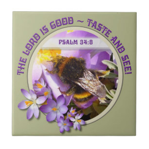 Azulejo Alimentación de abejas en la flor Crocus de primav