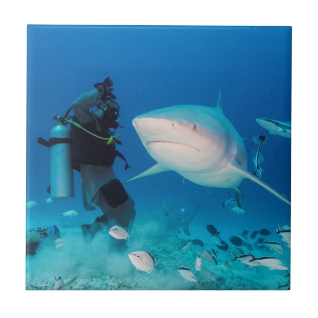 Azulejo Alimentación de la Bull (Frente)