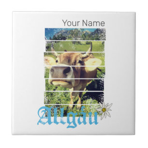 Azulejo Allgäu Alps Vintage Bavaria Alemania Souvenir