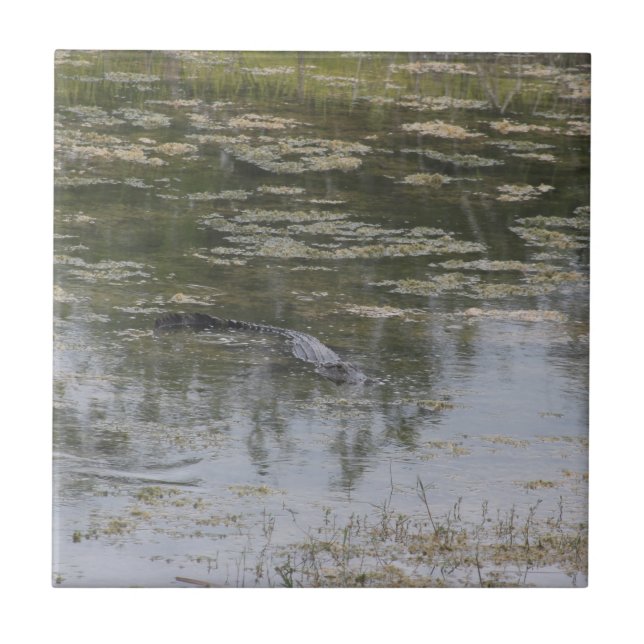 Azulejo Alligator Ceramic Tile (Frente)