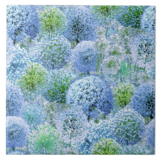 Azulejo Alliums Azules