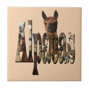 Azulejo "Alpacas: Un Amigo Peludo Detrás del Nombre"