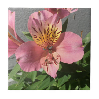 Azulejo Alstroemeria