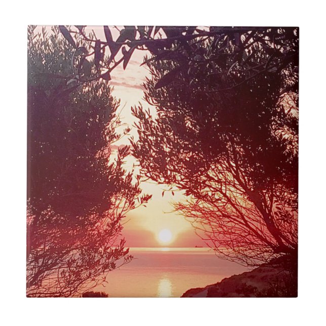 Azulejo amanecer (Frente)