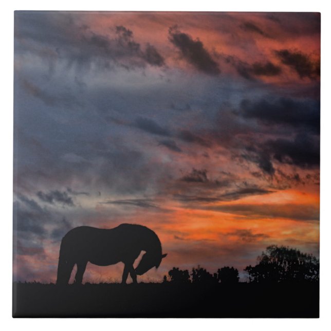 Azulejo Amanecer del país (Frente)