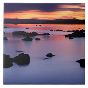 Azulejo Amanecer en el punto negro del lago Mono