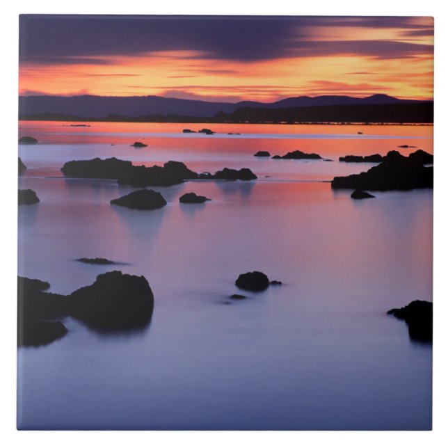 Azulejo Amanecer en el punto negro del lago Mono (Frente)