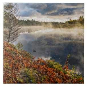 Azulejo Amanecer en el río Tahquamenon   Paraíso, Míchigan