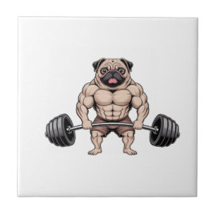 Azulejo Amante de Perro Pug Musculoso Levantamiento de Pes