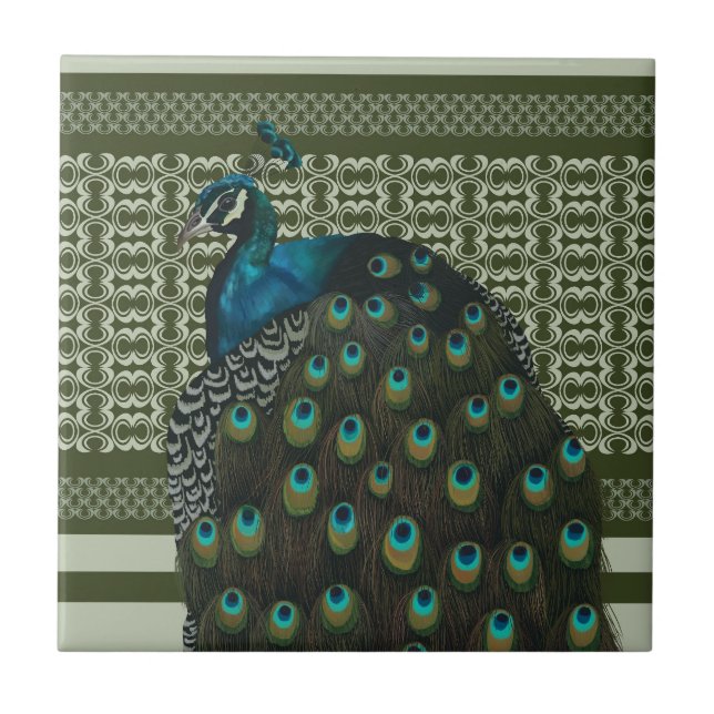 Azulejo Amantes elegantes del Pájaro Peacock (Frente)