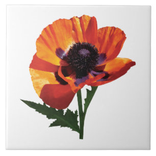 Azulejo Amapola oriental