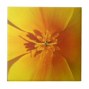 Azulejo amarillo de otoño