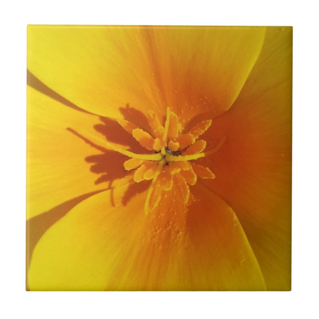 Azulejo amarillo de otoño (Frente)