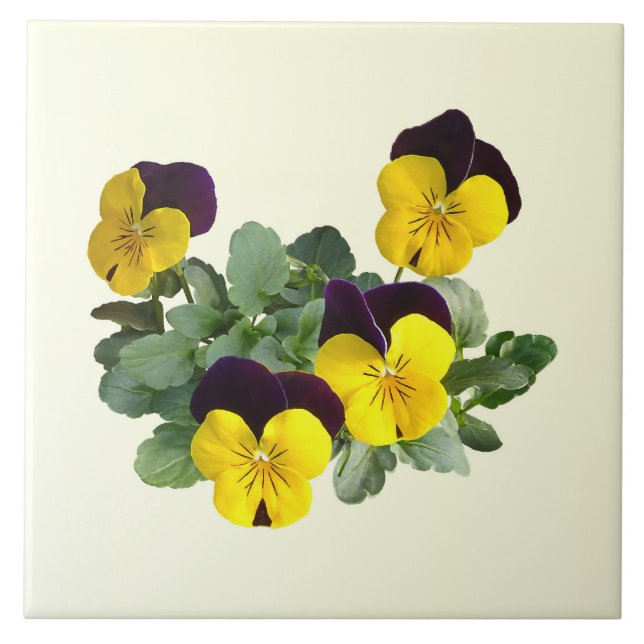 Azulejo Amarillo de Sorbet Violas Salta (Frente)