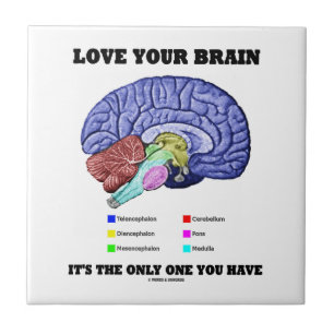 Azulejo Ame su cerebro que es el único usted tiene (el