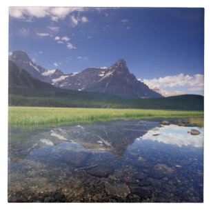 Azulejo América del Norte, Canadá, Alberta, Banff National