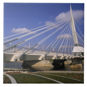 Azulejo América del Norte, Canadá, Manitoba, Winnipeg,