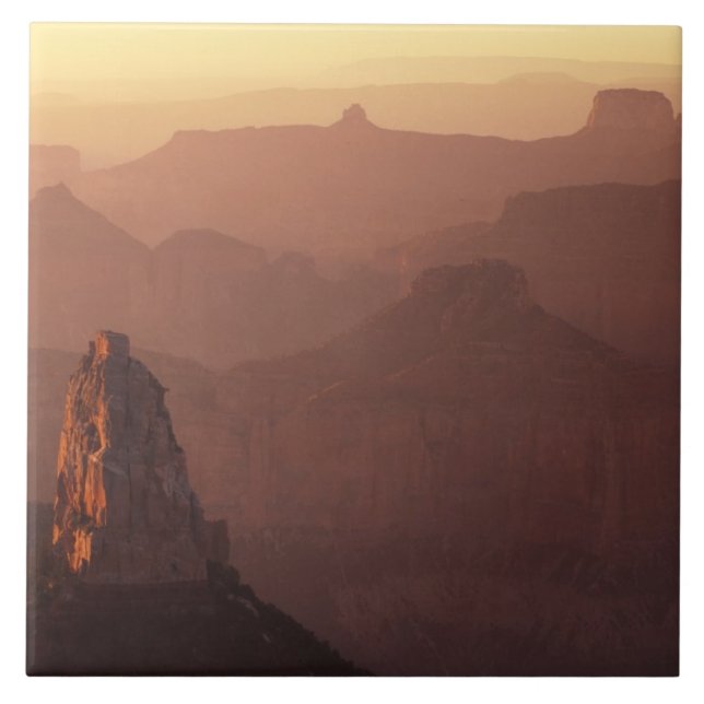 Azulejo América del Norte, Estados Unidos, Arizona, Gran C (Frente)