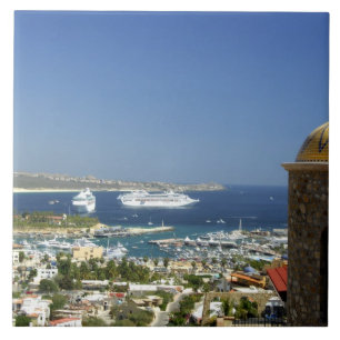 Azulejo América del Norte, México, Estado de Baja Califo