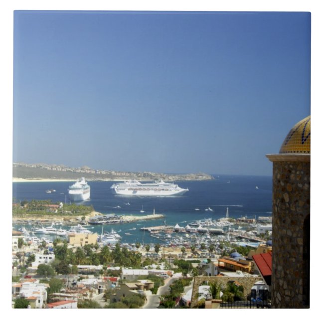 Azulejo América del Norte, México, Estado de Baja Californ (Frente)