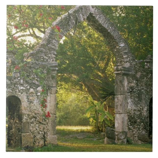 Azulejo América del Norte, México, Península de Yucatán, (Frente)