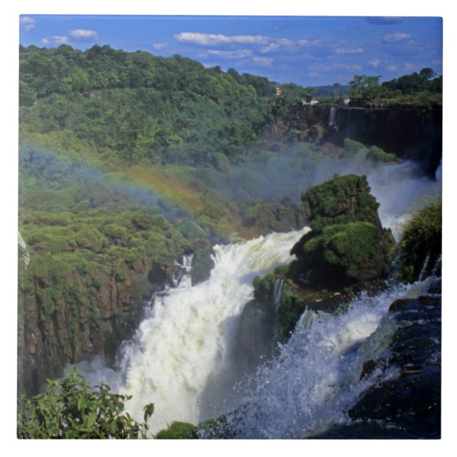Azulejo América del Sur; América Latina;Argentina; Brasil; (Frente)