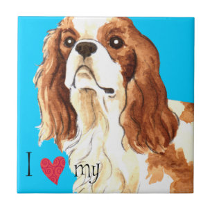 Azulejo Amo a mi Cavalier