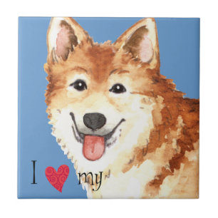 Azulejo Amo a mi perro pastor islandés