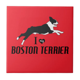 Azulejo Amo mi Terrier de Boston
