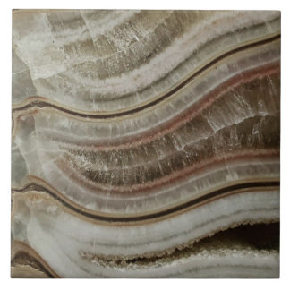 Azulejo Amonita cálcica