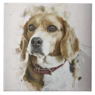 Azulejo AMOR DE BEAGLE, Mascota familiar, perro de rescate