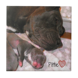 Azulejo Amor de Pittie
