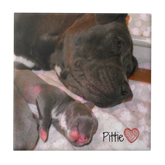 Azulejo Amor de Pittie (Frente)