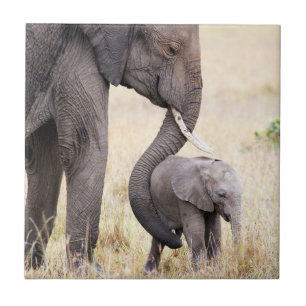 Azulejo Amor maternal