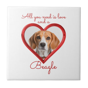Azulejo Amor y un Beagle