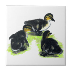 Azulejo Anadones del pato silvestre
