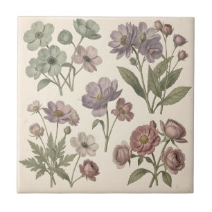 Azulejo Anémonas Rosas Botánicas Suaves Pastel Vintage