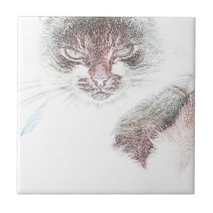 Azulejo Angry Cute Cate Face Sketch