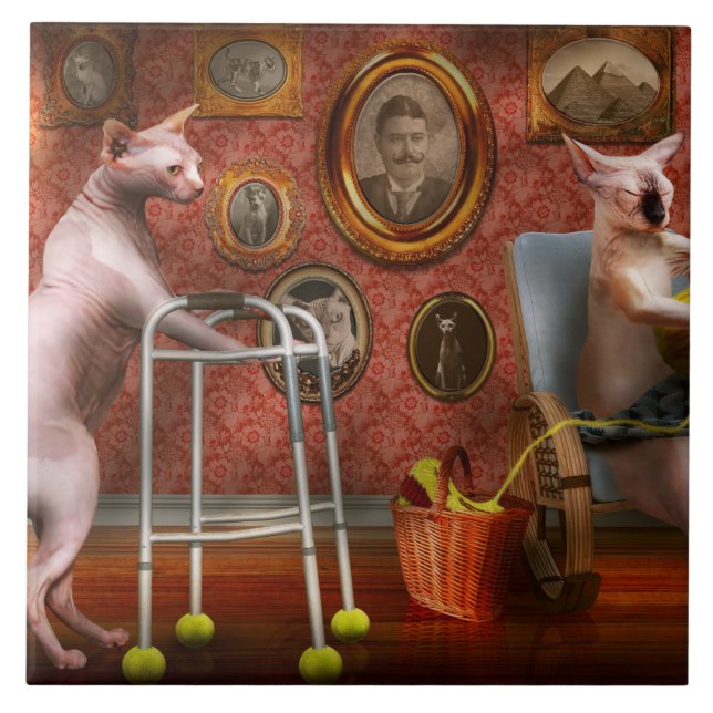 Azulejo Animal - Cat - Retirement home for cats (Frente)