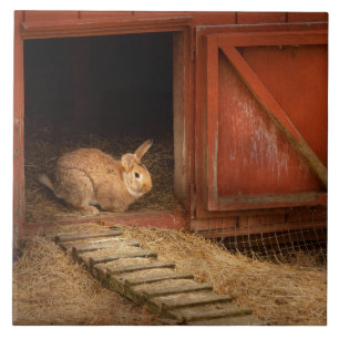 Azulejo Animal - Conejo - Haciendo huevos para Pascua