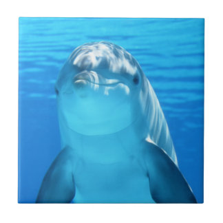 Azulejo Animal marino del delfín lindo en el mar azul