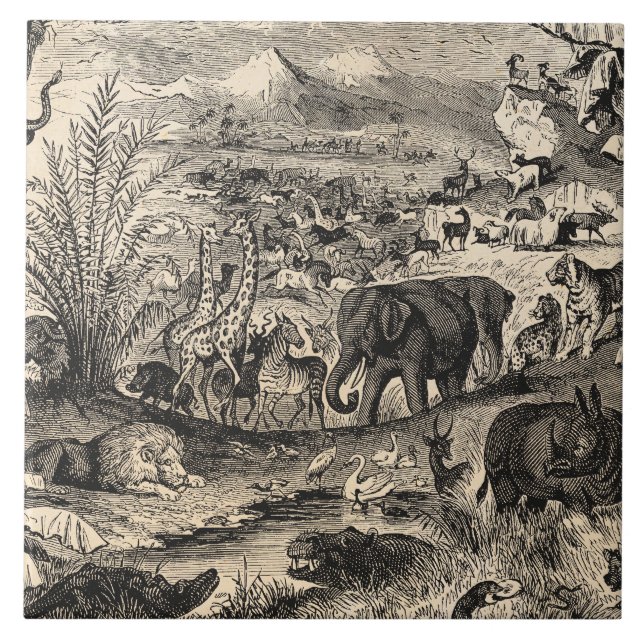 Azulejo Animales animales africanos del ilustracion de los (Frente)