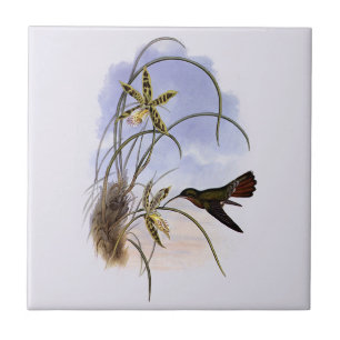 Azulejo Animales Antiguos, Flores de Orquídea Pájaro Colib