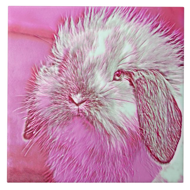 Azulejo AnimalMix_Rabbit_008 (Frente)